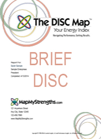 DISC Sample (Brief)