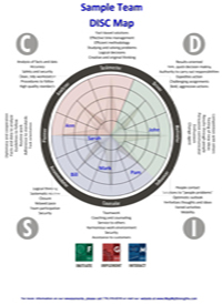 Team Summary Sample