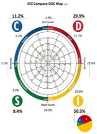 Company DISC Overview